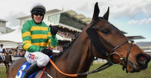 The Wine Tipster: Five Irish Handicappers for The Cheltenham Festival
