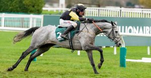 The Wine Tipster: “He is ground versatile and will come out on top here”