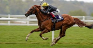 The Wine Tipster: “This well-bred individual has a good chance”