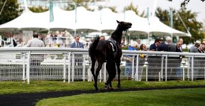 The Wine Tipster: “Cemhaan (nap) really impressed when winning at the Guineas Festival”