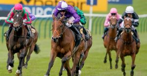 The Wine Tipster: “If he gets the breaks this time, he’ll be finishing as strongly as anything”