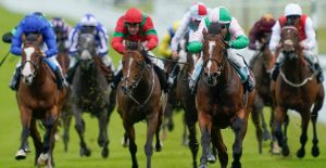 The Wine Tipster: “He could be transformed by the hood and still has plenty of potential to be Group class himself”