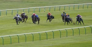 The Wine Tipster: “We know he gets the nine furlongs, and this talented individual has good each way claims here”