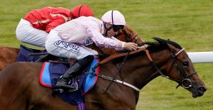 The Wine Tipster: “She will be a serious threat to the favourite”