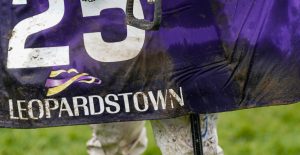 The Wine Tipster: “Remastered (nap) surely can strike again on ground which we know he is effective on”
