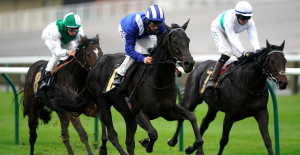 The Wine Tipster: “Mutasaabeq (nap) is on a strong upward curve, you can expect a big run from him”