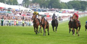 The Wine Tipster: “Military Order has the necessary speed and stamina and is the one to beat”