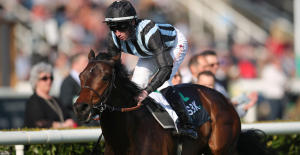 Richard Hannon: “He’s well clear on ratings and should go extremely close”
