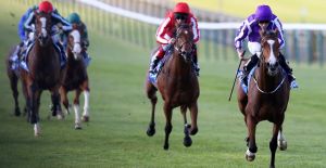 The Wine Tipster: “He can run a big race with stamina a clear forte”