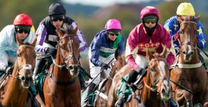 The Wine Tipster: “The return to Cheltenham will be to his benefit tactically”