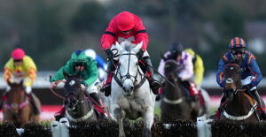 The Wine Tipster: “He looks a cut above most of these here and has a big chance”