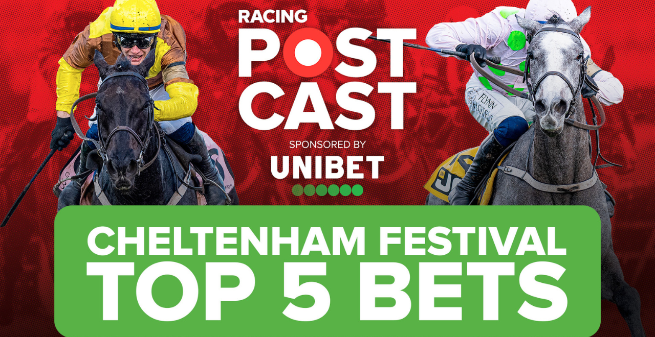 Racing Postcast Top 5 bets at the 2024 Cheltenham Festival Unibet