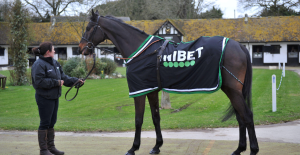 WATCH: Nicky Henderson Aintree Festival 2024 Stable Tour
