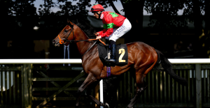 Richard Hannon: “He’s definitely got the ability to win a race like this and if things pan out, he has every chance”