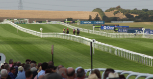 The Wine Tipster: “She’s an improving filly that deserves her place here”