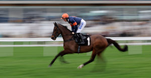 The Wine Tipster: “He is sharp enough for his reappearance and can reward each way players with conditions in his favour”