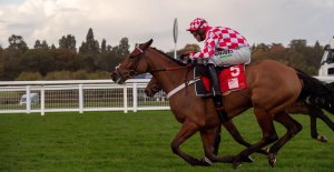 Nico de Boinville: “A mark of 130 gives him definite chances here”
