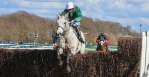 The Wine Tipster: “His stamina plus determination took him to within a neck of the winner. He has to be a major player over this distance”