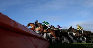 The Wine Tipster: “He has a strong chance with ten pounds being taken off his back”