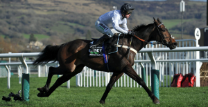 Nico de Boinville | Cheltenham Festival Day One: “He continues to delight us at home