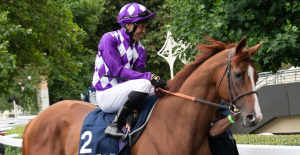 Richard Hannon: “He’s a yard favorite, and his days of winning races aren’t over just yet!”