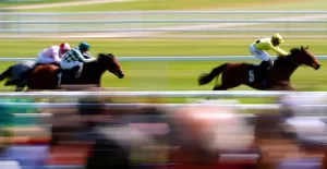 The Wine Tipster: “She will be right in the mix and she looks overpriced”