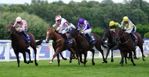 The Wine Tipster: “This stiff 5f should suit him down to the ground, giving him an excellent chance to get back to winning ways”