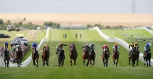 The Wine Tipster: “You can expect him to be much more in the mix for each way players”