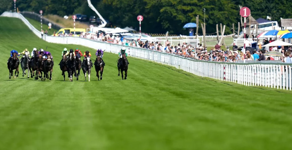 The Wine Tipster: "He retains all his enthusiasm and ability to secure what would be a very popular victory" 1 Untitled design 2025 07 28T121228.438