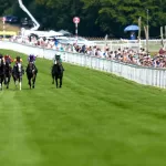 The Wine Tipster: “He retains all his enthusiasm and ability to secure what would be a very popular victory”