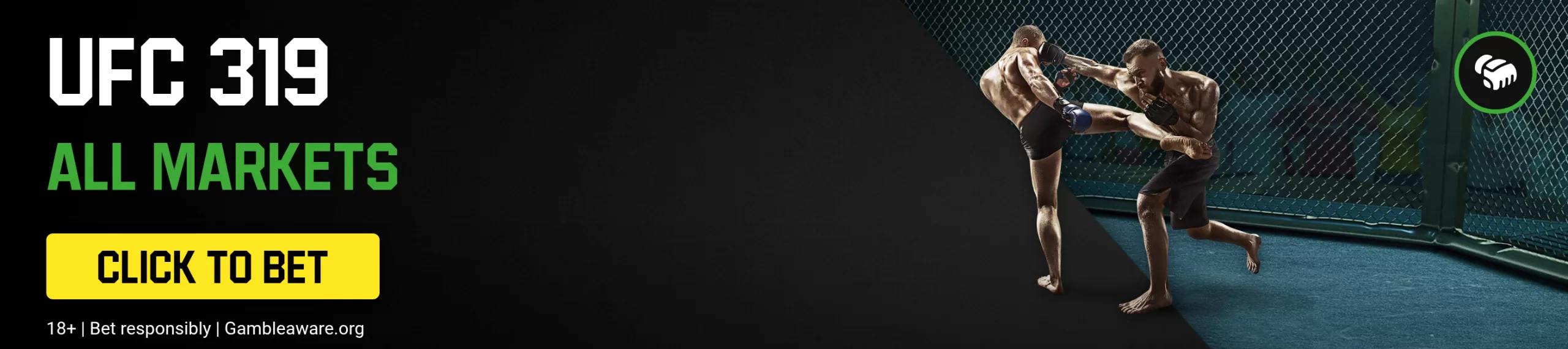 Blog Footer v01 2813x625 1 scaled