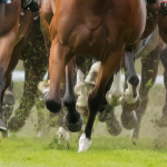 Richard Hannon | Ladies Day Ebor Festival: “It should still ride with plenty of juice, and he has a solid each-way squeak”