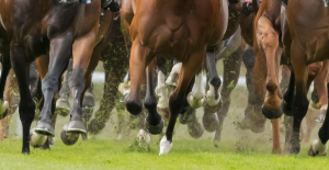 Richard Hannon | Ladies Day Ebor Festival: “It should still ride with plenty of juice, and he has a solid each-way squeak”