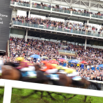 Richard Hannon | Ebor Festival: “I think he could be very competitive off a mark of 94 on his Handicap debut”