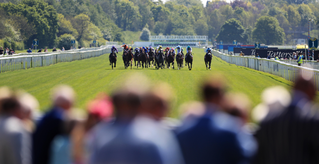 York Ebor Day One