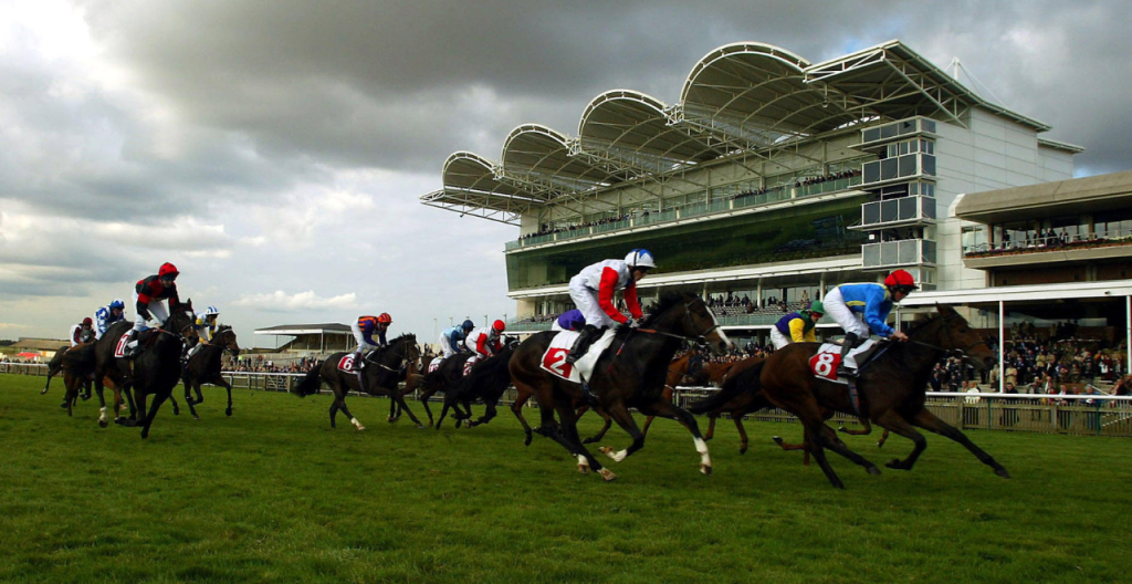 Richard Hannon | Cambridgeshire Friday: "He handles any ground and boasts very solid claims" 1 Cambridgeshire Friday