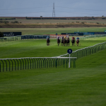 The Wine Tipster | Cambridgeshire Meeting: “The ground and distance are in his favour, and he is going to progress again”