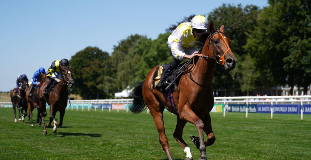 Richard Hannon | "A fast run six furlongs will be right up her street and I’d be hopeful she can run well at decent odds" 1 A fast run six furlongs
