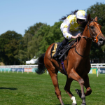 Richard Hannon | “A fast run six furlongs will be right up her street and I’d be hopeful she can run well at decent odds”