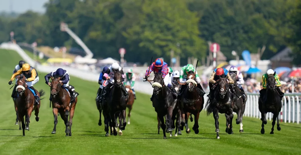 The Wine Tipster: "You can expect him to deliver another strong performance" 1 Untitled design 2025 09 05T181624.366