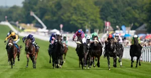 The Wine Tipster: “You can expect him to deliver another strong performance”