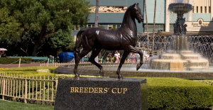 home 1 The Wine Tipster | Breeders’ Cup Special: “She can be ridden prominently or come from the pace, and you can expect a big run”