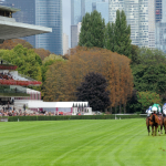 The Wine Tipster: “She is ground versatile, and you can expect her to go well here back on the Rowley Mile”