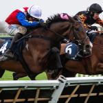 The Wine Tipster: “He has conditions in his favour and you can expect a big run with the yard in great form”