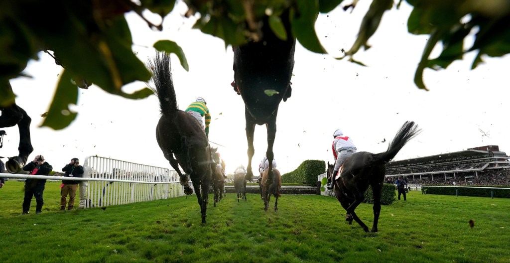 November Meeting - Saturday