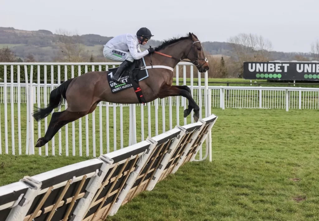 Nicky Henderson: "We all believe this is the correct decision." 2 IMG 7504