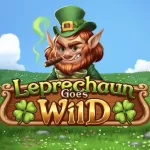 Ierse slots uitgelegd: thema, symbolen en populaire Ierse gokkasten