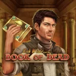 Waarom book slots een van de bekendste slot formats zijn geworden