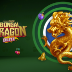 Notre avis sur Bonsai Dragon Blitz Dream Drop : entre zen attitude et souffle du dragon