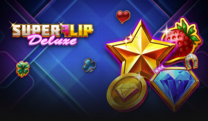 Notre avis sur Super Flip Deluxe